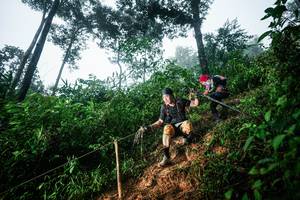 BIB: 
                            <button type="button" onclick="openModal(26202959)" class="btn btn-primary btn-sm float-right btn-popup" data-toggle="modal" data-target=".modal-high-quality">
                        <i class="fas fa-shopping-cart"></i> Add to Cart
                    </button>
                                            <button type="button" onclick="isThisMe(26202959, true)" class="btn btn-success btn-sm float-right btn-popup btn-isme hidden" data-toggle="tooltip" data-placement="bottom" title="นี่คือรูปของคุณใช่ไหม คลิกที่นี่เพื่อเอาเข้าอัลบั้ม">
                        <i class="fas fa-plus"></i> Add to album
                    </button>
                    <button type="button" onclick="isThisMe(26202959, false)" class="btn btn-warning btn-sm float-right btn-popup btn-isnotme hidden">
                        <i class="fas fa-ban"></i> Remove from album
                    </button>